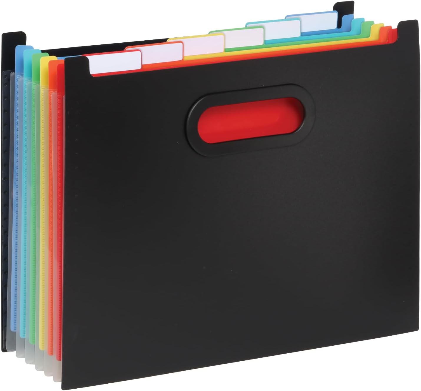 Pendaflex Portable Desktop File, Document Holder for Home and Office, Plastic Organizer Box, Side Handles, Hanging File Folders, Tabs & Inserts, Letter Size, 9-1/2 x 12-3/16 x 6 Inches, Black (23013)
