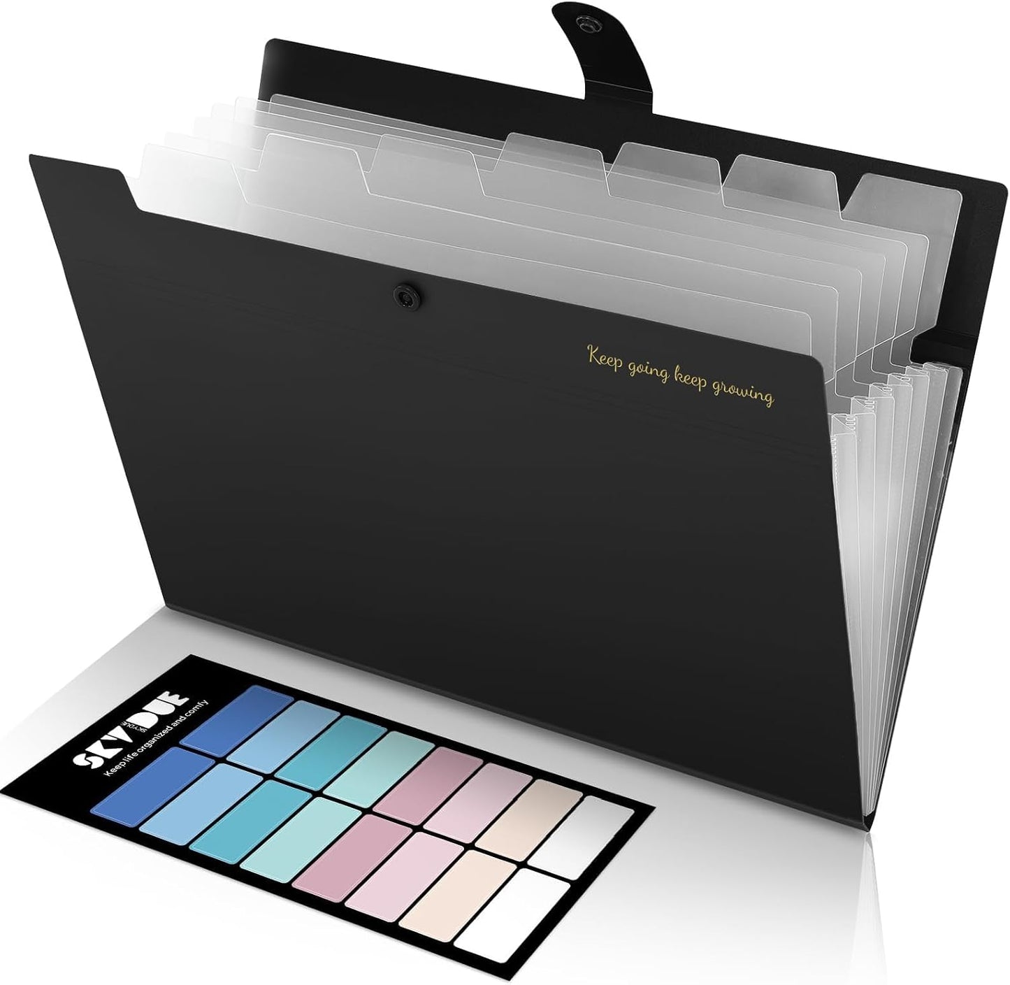 SKYDUE Accordion File Organizer, Expanding File Folder with 8 Pockets, Portable Document Paper Organizer, Letter/A4 Size Filing Folder，School Office Supplies Hospital Bag Essentials Black