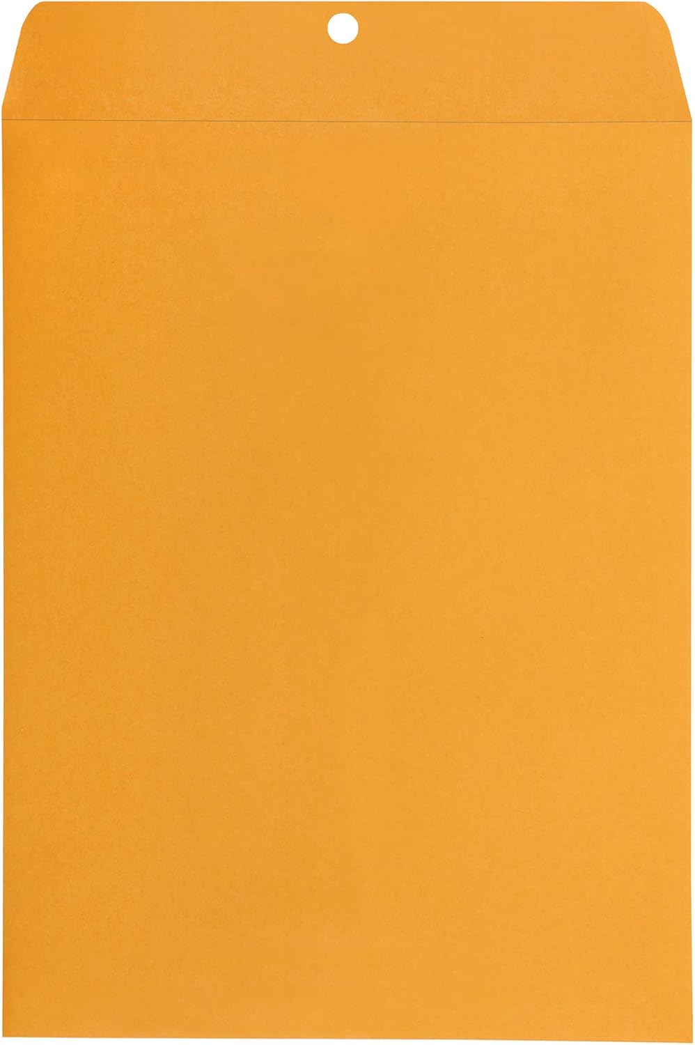Amazon Basics Clasp Kraft Envelopes for Documents, Gummed Mailing Envelope, 9" x 12", 100-Pack