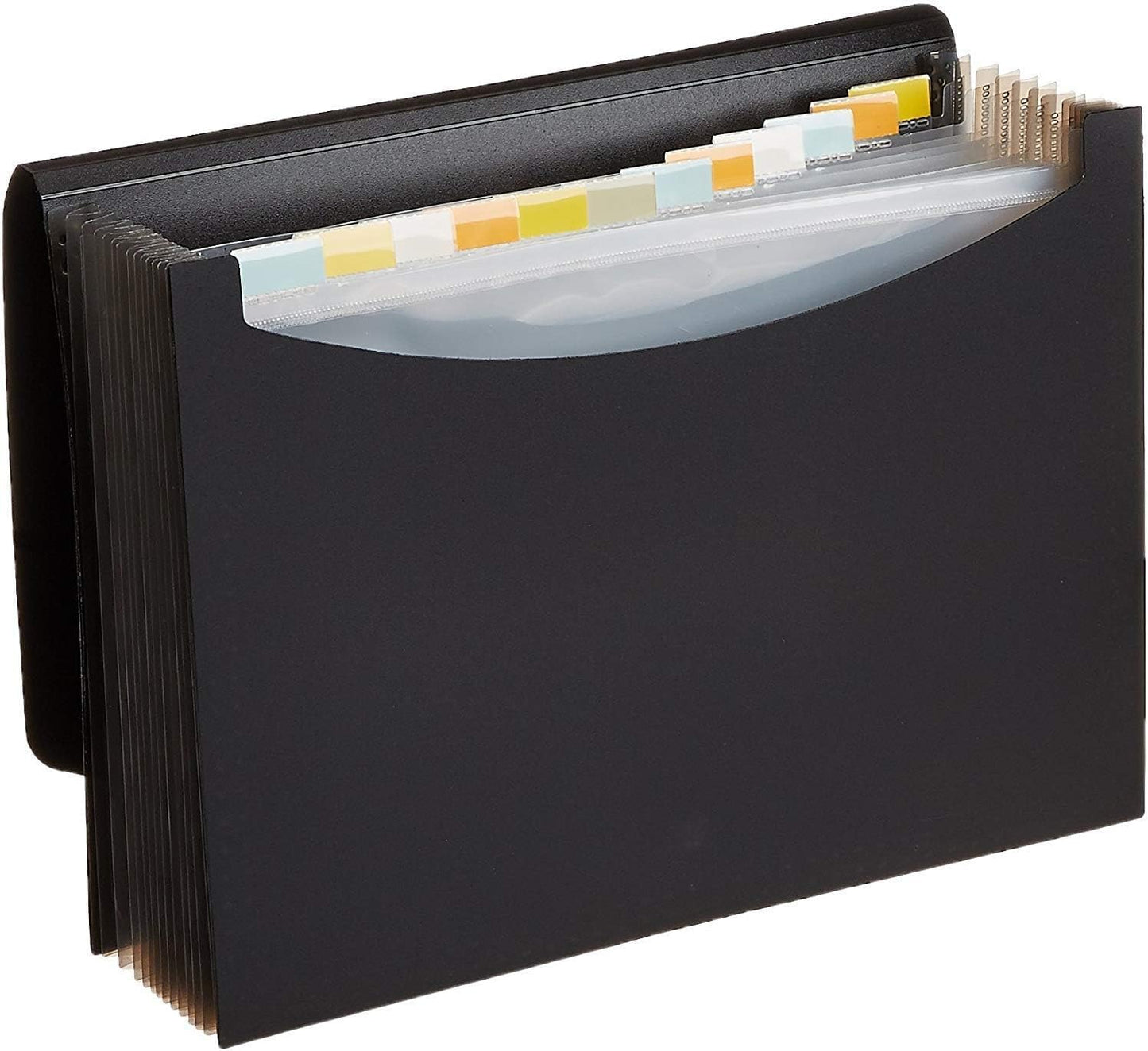 Amazon Basics Expanding Accordion File Organizer, Letter Size, 13 Compartments, Large Capacity Document Storage, Waterproof, Black, 1-Pack