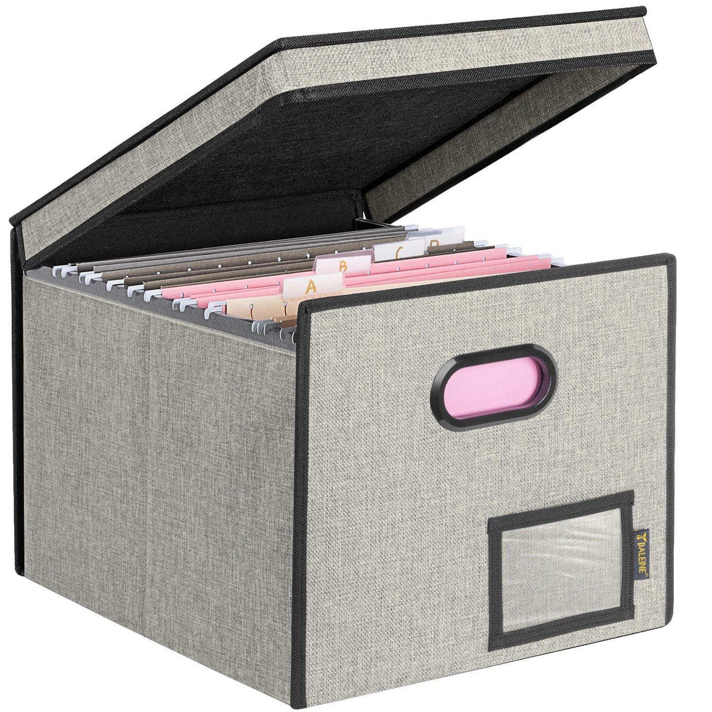 BALEINE File Organizer Box with Lid, Collapsible File Folder Organizer with Plastic Slide, Hanging File Folder Box for Office Document Storage (1 Pack, Black)