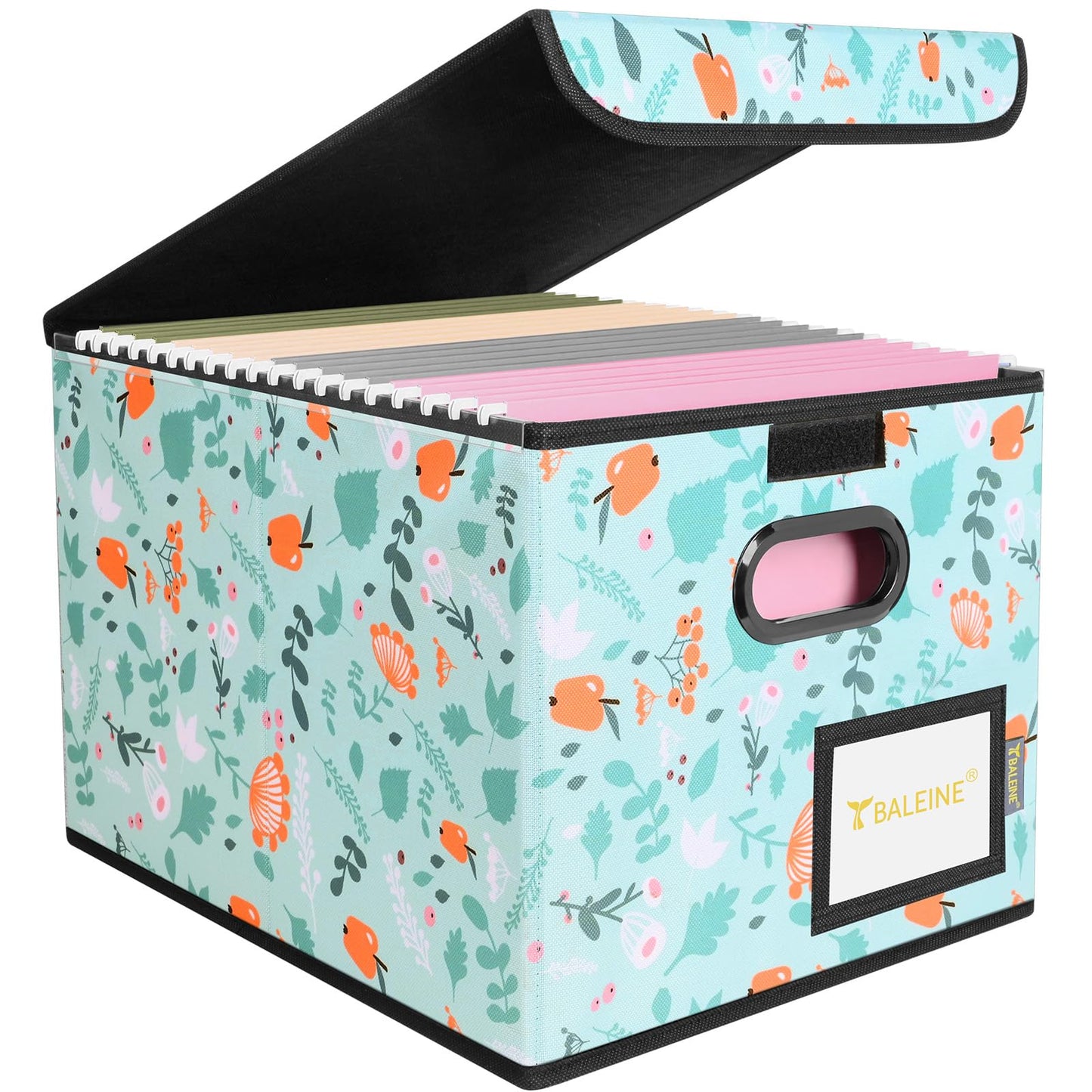 BALEINE File Organizer Box with Lid, Collapsible File Folder Organizer with Plastic Slide, Hanging File Folder Box for Office Document Storage (1 Pack, Black)