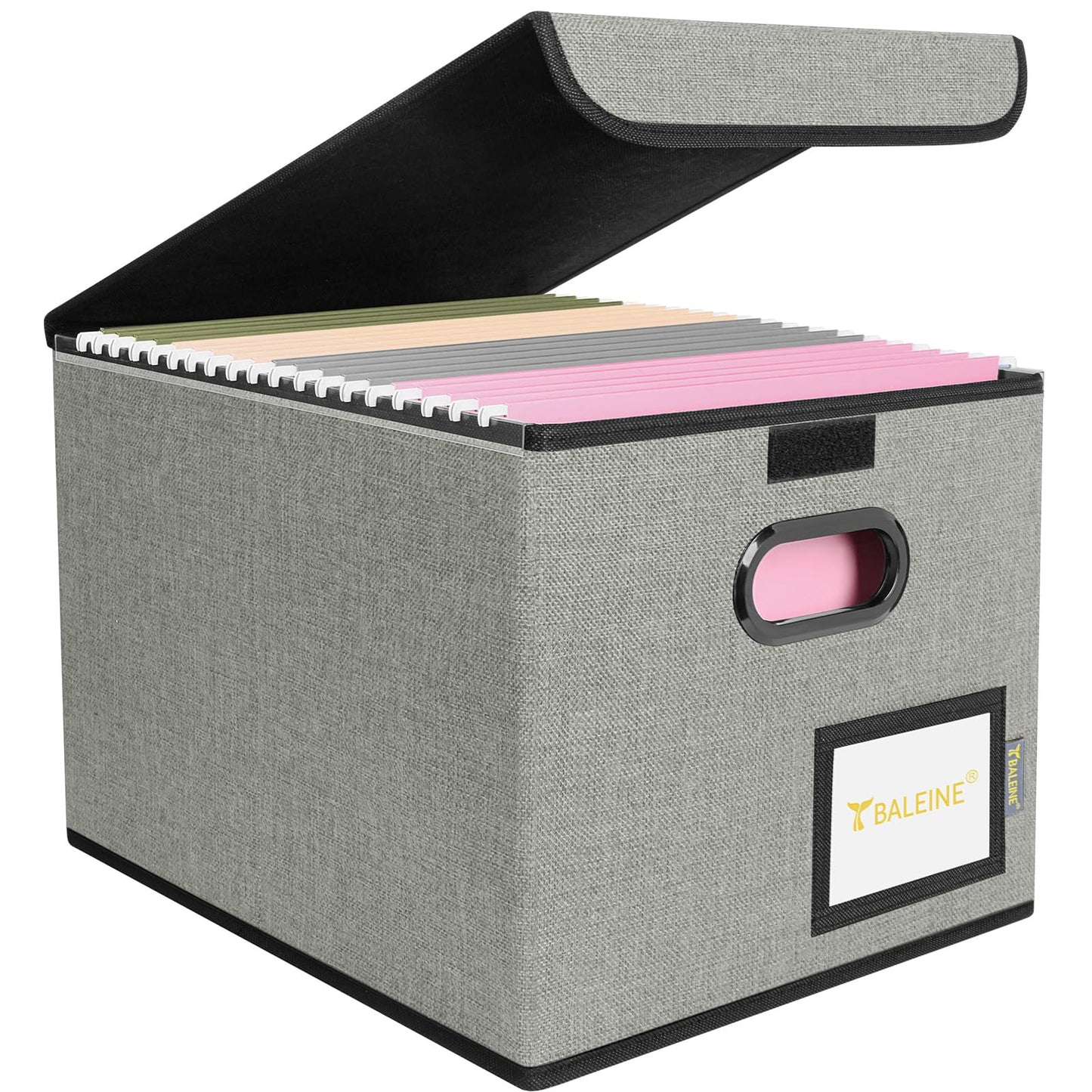 BALEINE File Organizer Box with Lid, Collapsible File Folder Organizer with Plastic Slide, Hanging File Folder Box for Office Document Storage (1 Pack, Black)