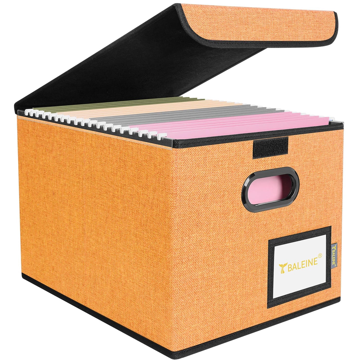 BALEINE File Organizer Box with Lid, Collapsible File Folder Organizer with Plastic Slide, Hanging File Folder Box for Office Document Storage (1 Pack, Black)