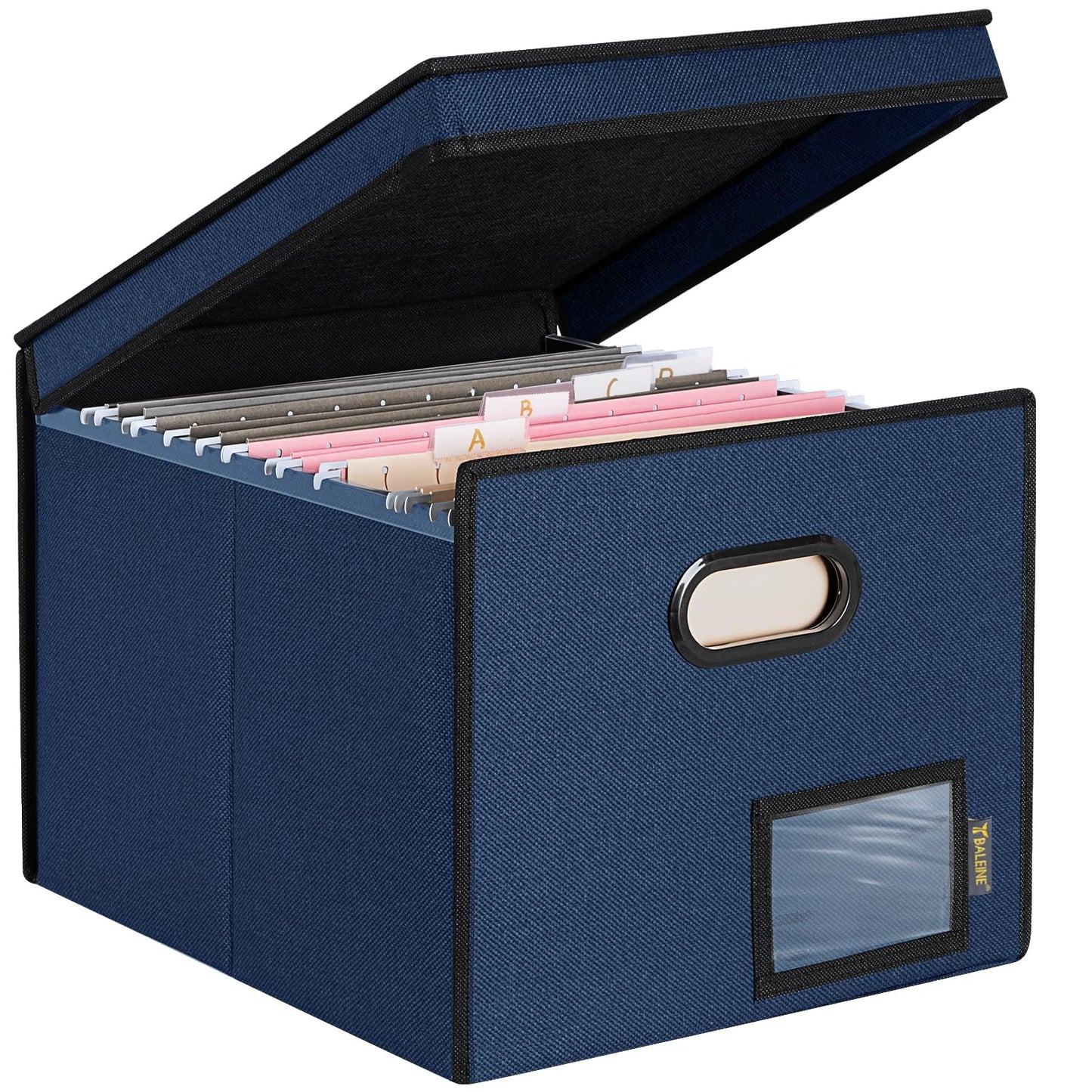 BALEINE File Organizer Box with Lid, Collapsible File Folder Organizer with Plastic Slide, Hanging File Folder Box for Office Document Storage (Tab Friendly, 1 Pack, Black)