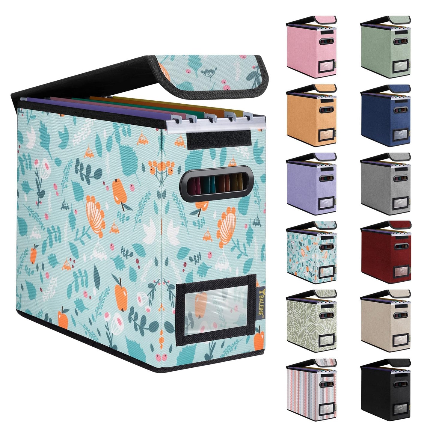 BALEINE File Organizer Box with Lid, Collapsible File Folder Organizer with Plastic Slide, Hanging File Folder Box for Office Document Storage (1 Pack, Black)