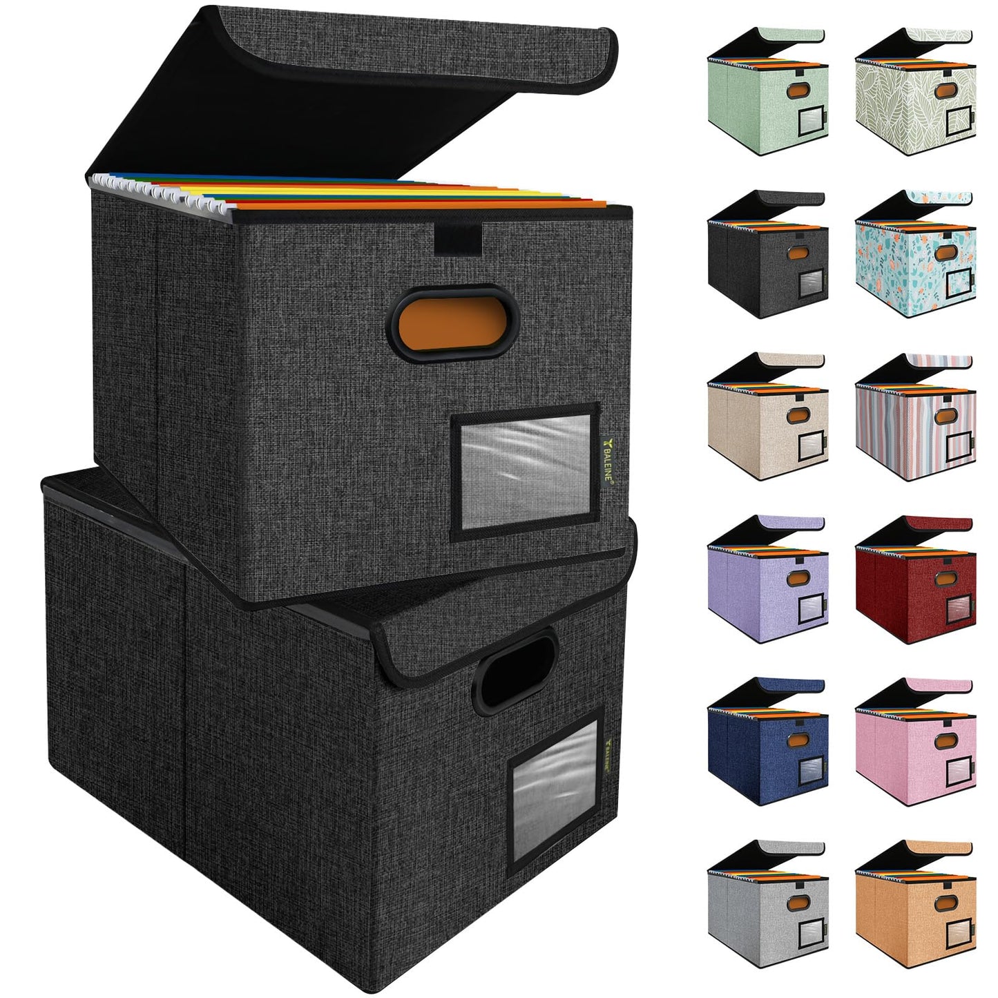 BALEINE File Organizer Box with Lid, Collapsible File Folder Organizer with Plastic Slide, Hanging File Folder Box for Office Document Storage (1 Pack, Black)