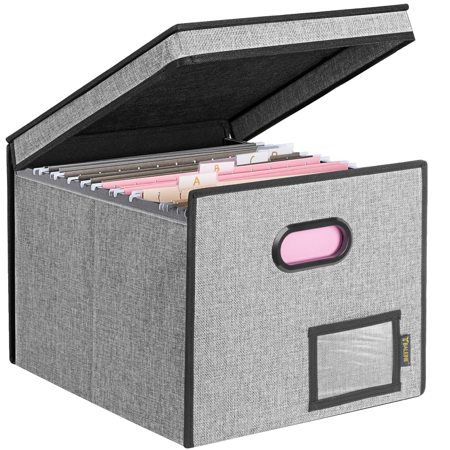 BALEINE File Organizer Box with Lid, Collapsible File Folder Organizer with Plastic Slide, Hanging File Folder Box for Office Document Storage (1 Pack, Black)