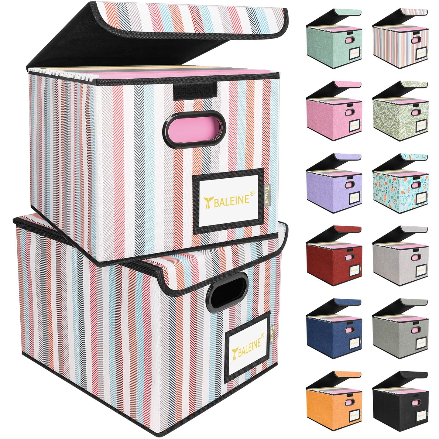 BALEINE File Organizer Box with Lid, Collapsible File Folder Organizer with Plastic Slide, Hanging File Folder Box for Office Document Storage (1 Pack, Black)
