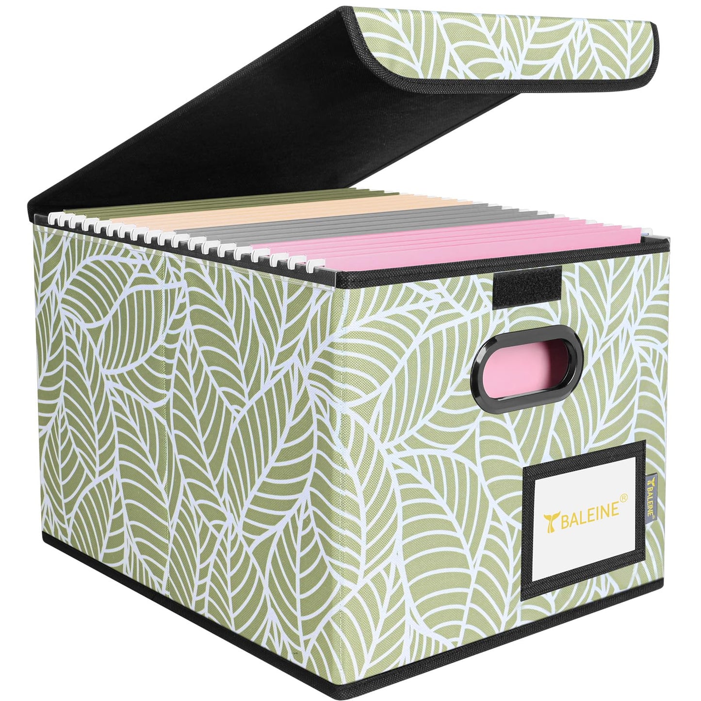 BALEINE File Organizer Box with Lid, Collapsible File Folder Organizer with Plastic Slide, Hanging File Folder Box for Office Document Storage (2 Pack, Black)