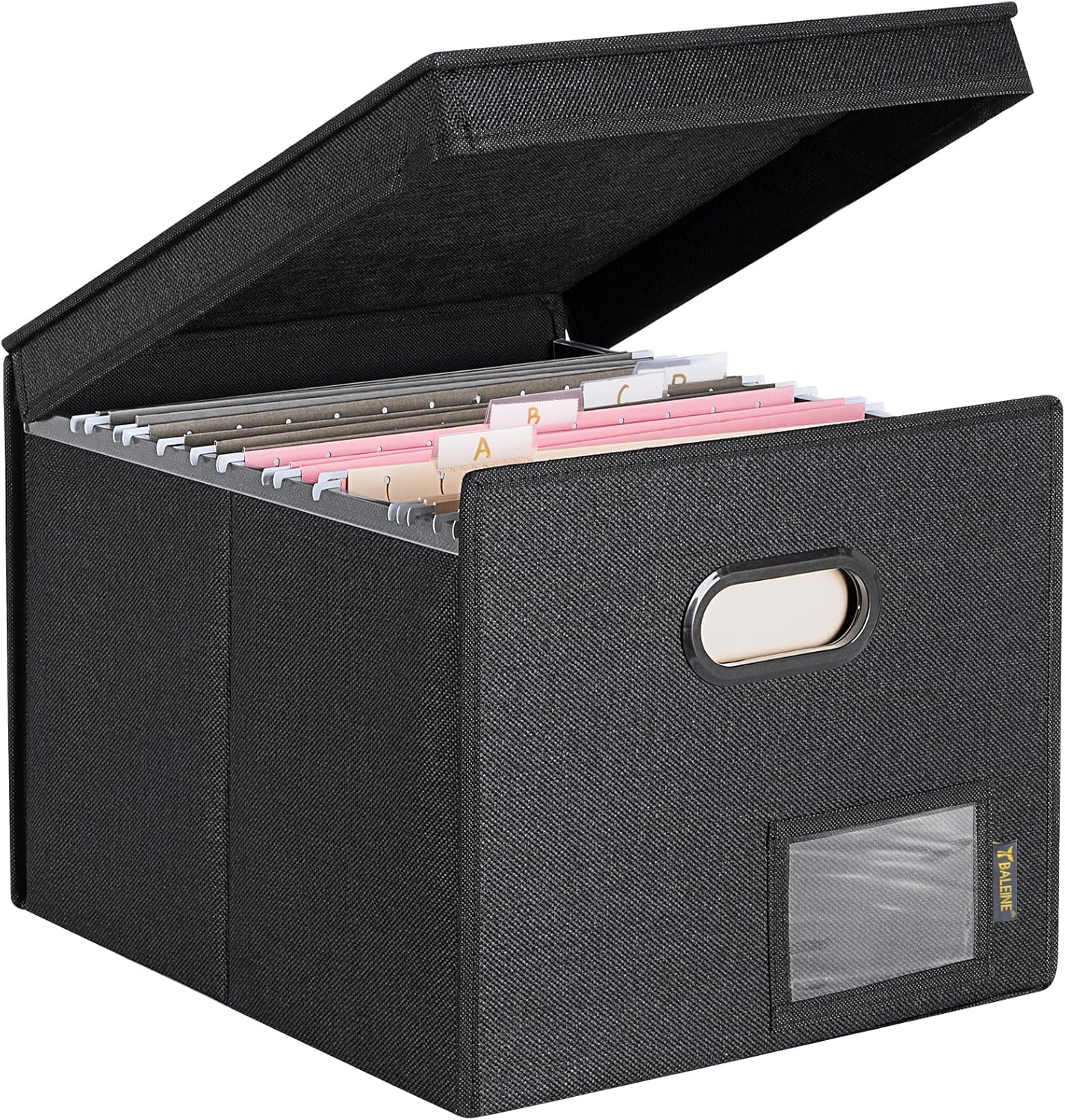 BALEINE File Organizer Box with Lid, Collapsible File Folder Organizer with Plastic Slide, Hanging File Folder Box for Office Document Storage (Tab Friendly, 1 Pack, Black)