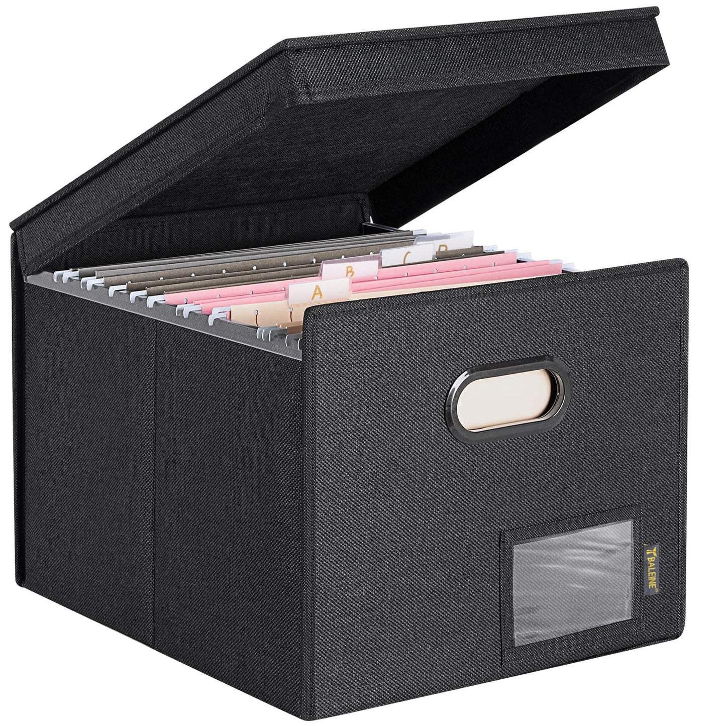 BALEINE File Organizer Box with Lid, Collapsible File Folder Organizer with Plastic Slide, Hanging File Folder Box for Office Document Storage (1 Pack, Black)