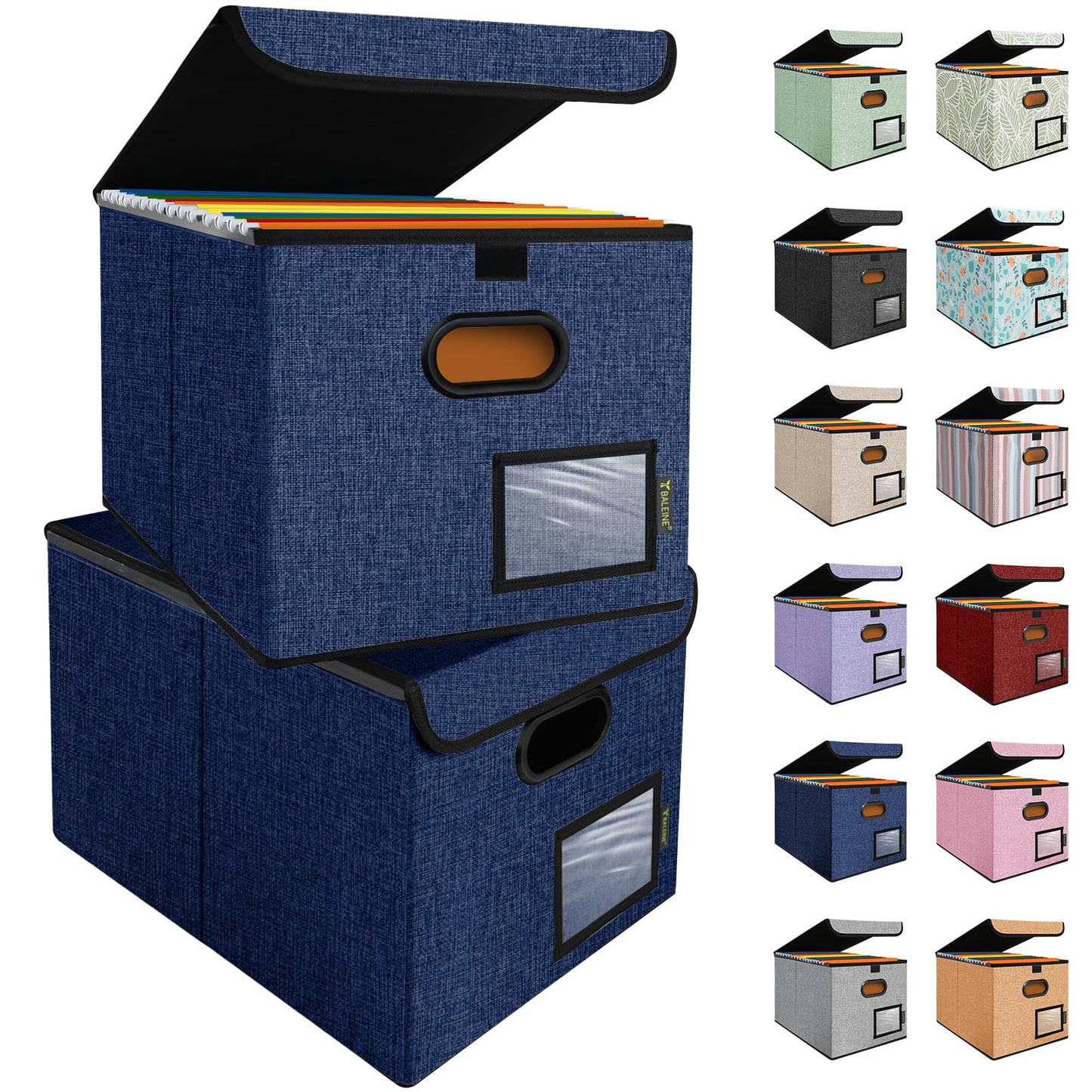 BALEINE File Organizer Box with Lid, Collapsible File Folder Organizer with Plastic Slide, Hanging File Folder Box for Office Document Storage (Tab Friendly, 1 Pack, Black)