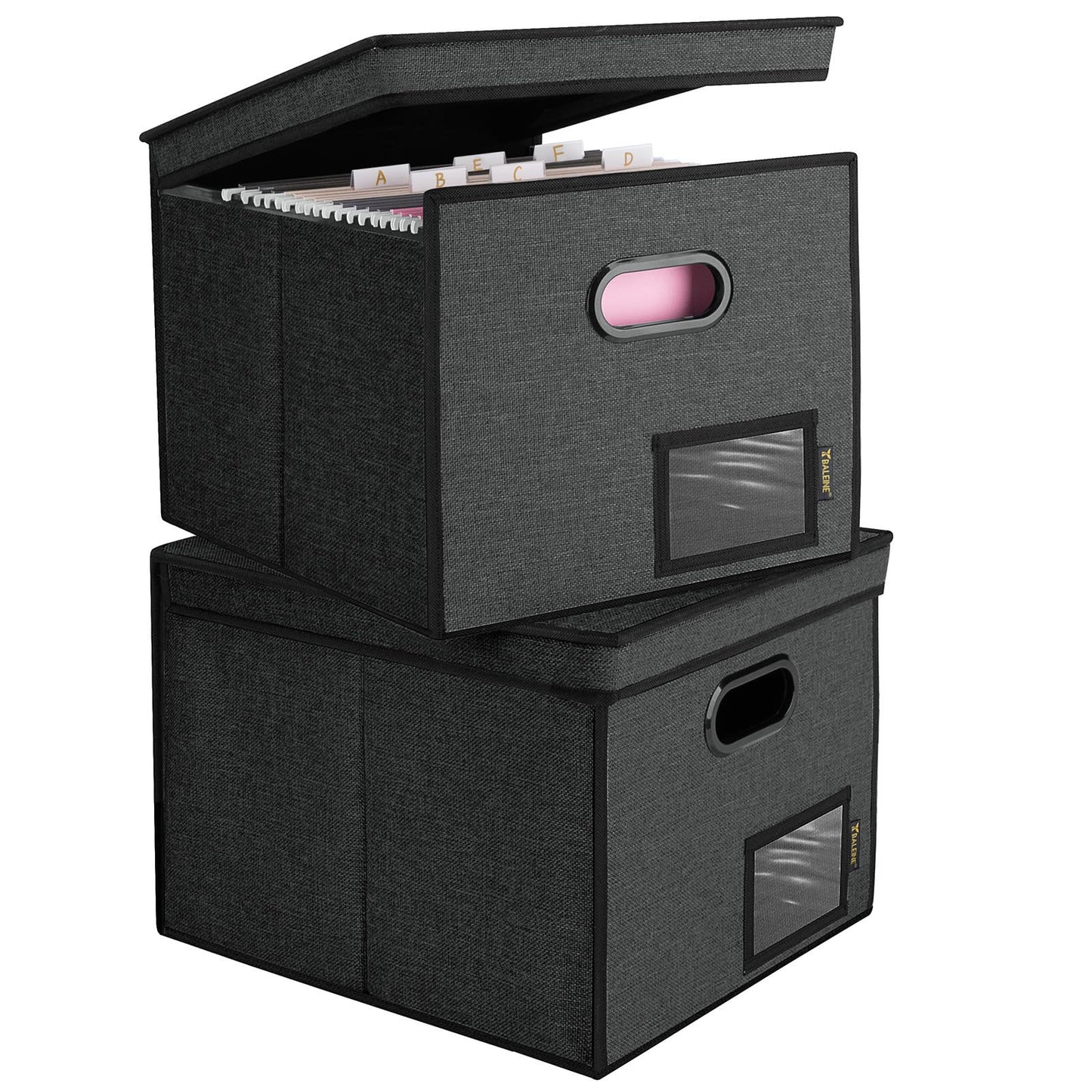 BALEINE File Organizer Box with Lid, Collapsible File Folder Organizer with Plastic Slide, Hanging File Folder Box for Office Document Storage (2 Pack, Black)