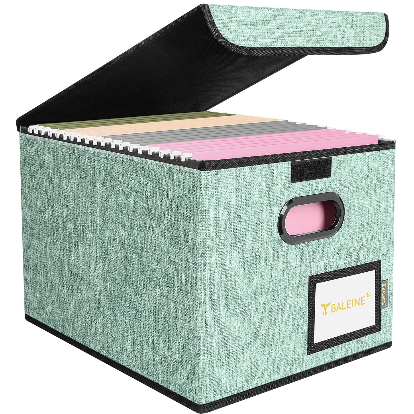BALEINE File Organizer Box with Lid, Collapsible File Folder Organizer with Plastic Slide, Hanging File Folder Box for Office Document Storage (1 Pack, Black)