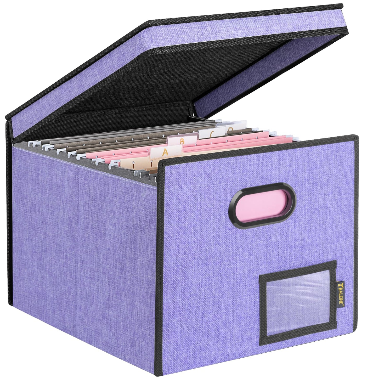 BALEINE File Organizer Box with Lid, Collapsible File Folder Organizer with Plastic Slide, Hanging File Folder Box for Office Document Storage (1 Pack, Black)