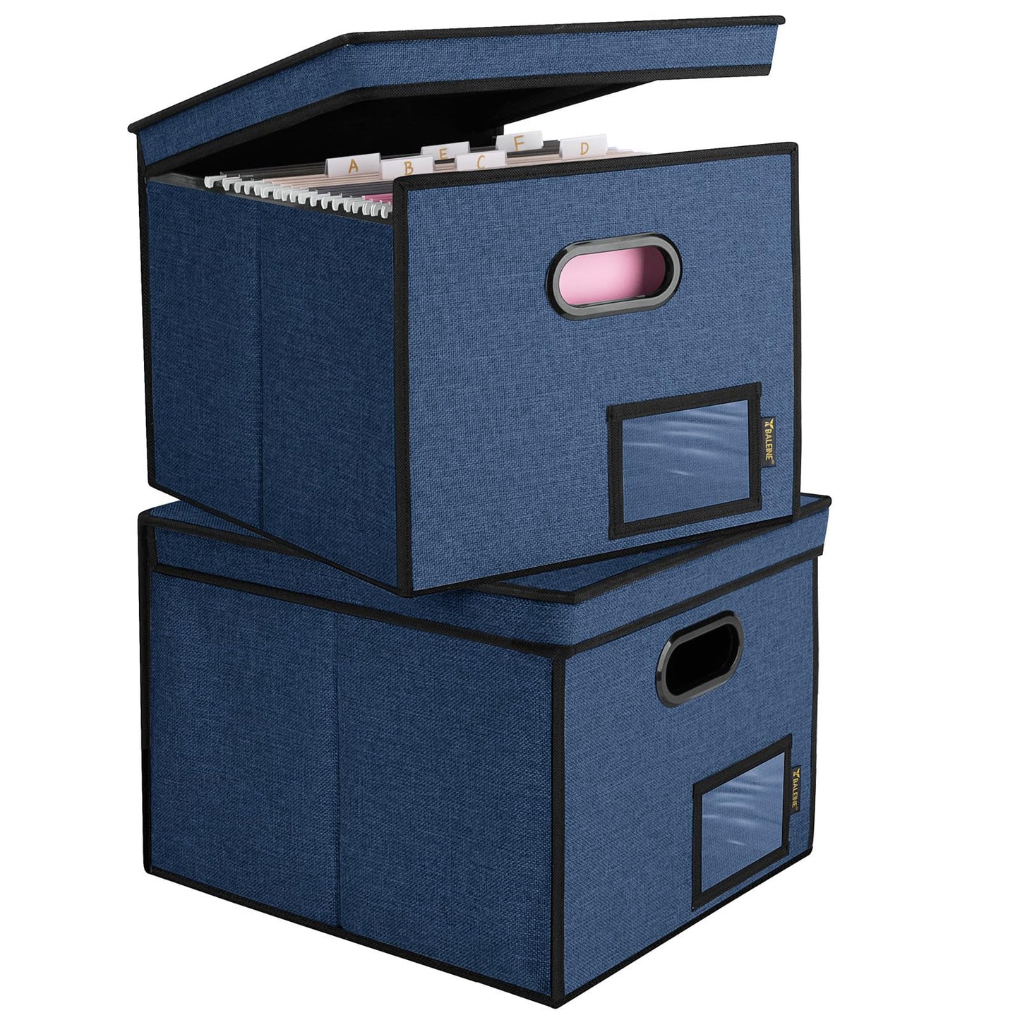 BALEINE File Organizer Box with Lid, Collapsible File Folder Organizer with Plastic Slide, Hanging File Folder Box for Office Document Storage (1 Pack, Black)