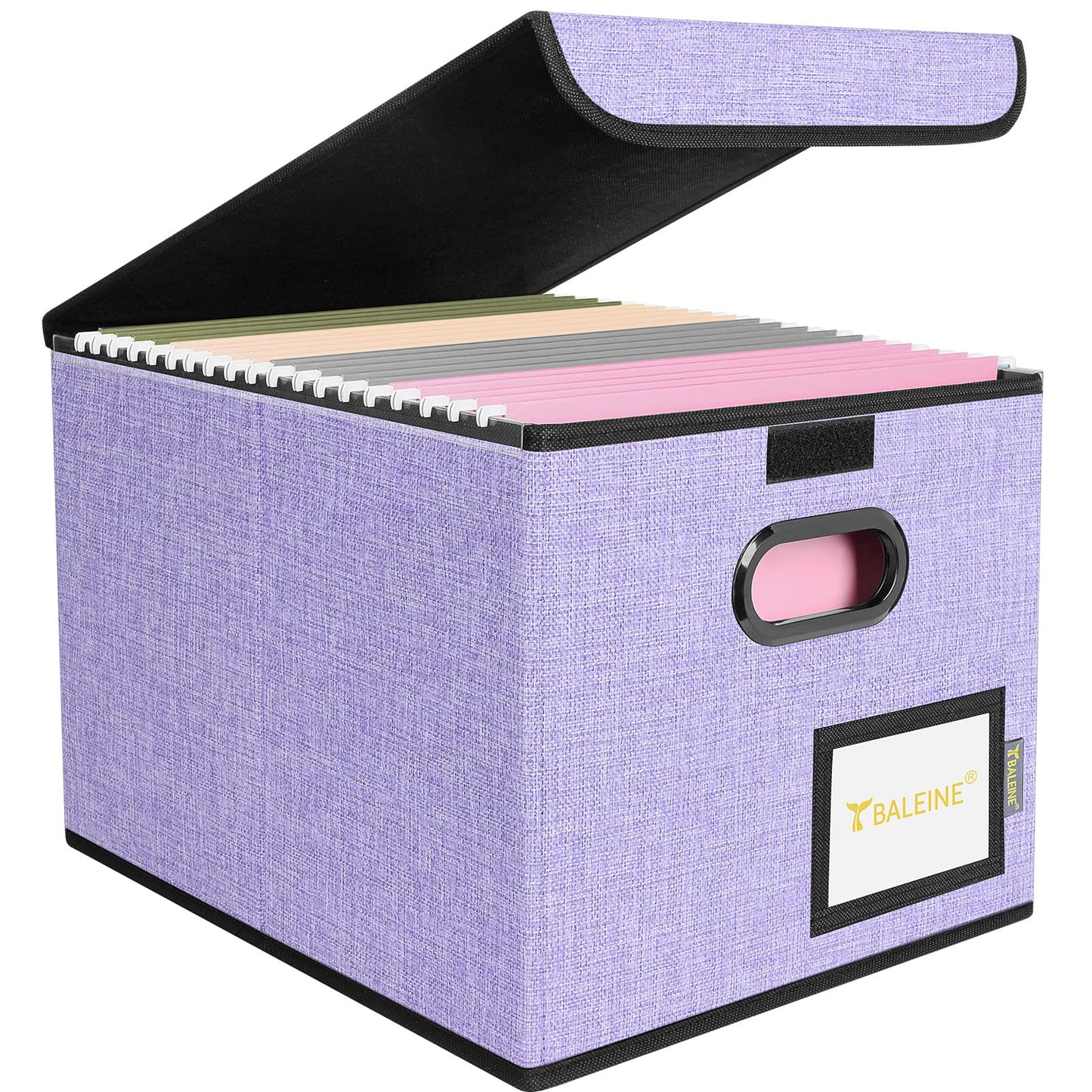 BALEINE File Organizer Box with Lid, Collapsible File Folder Organizer with Plastic Slide, Hanging File Folder Box for Office Document Storage (1 Pack, Black)