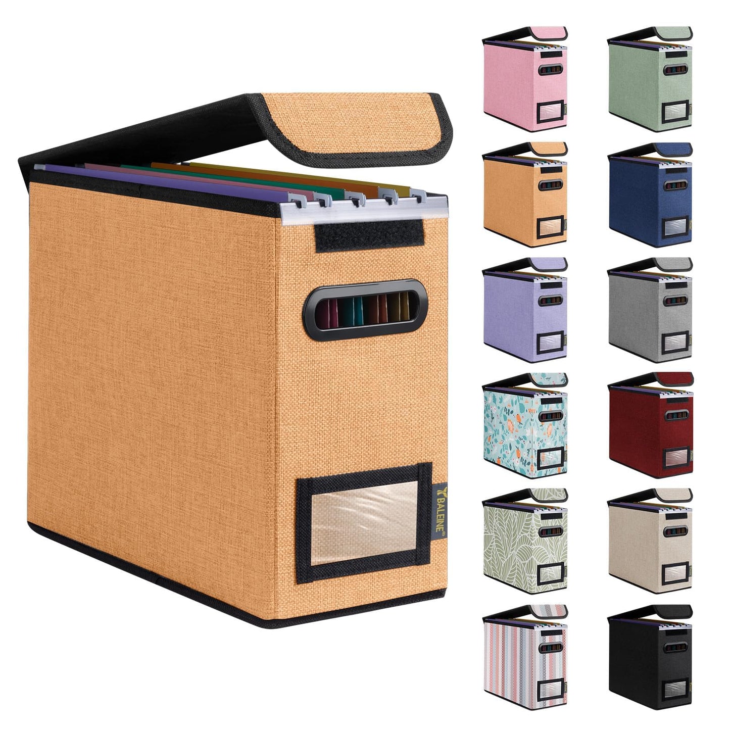 BALEINE File Organizer Box with Lid, Collapsible File Folder Organizer with Plastic Slide, Hanging File Folder Box for Office Document Storage (1 Pack, Black)