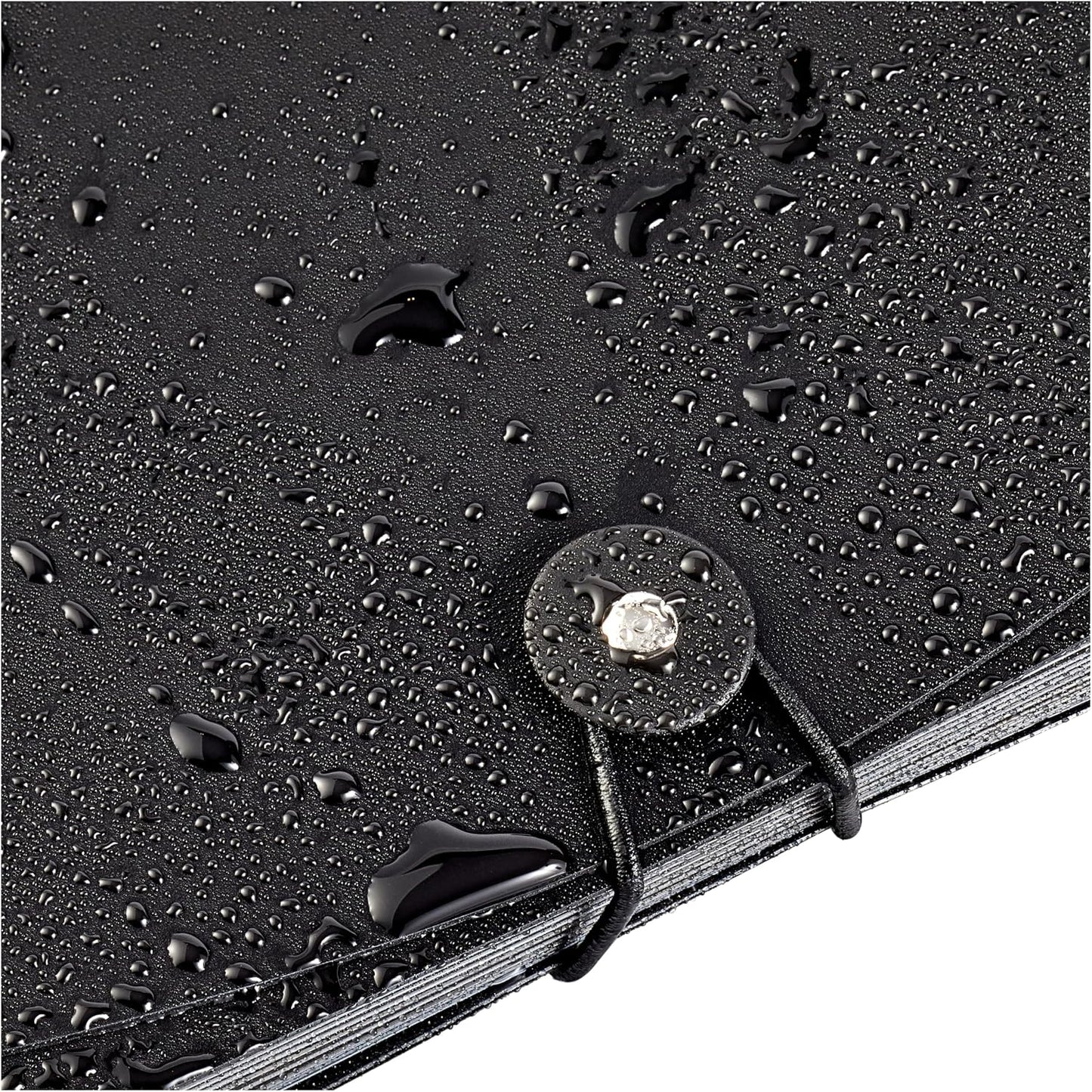 Amazon Basics Expanding Organizer File Folder for Documents, Letter Size, 13 Pockets, Waterproof, Black & Gray, 2-Pack